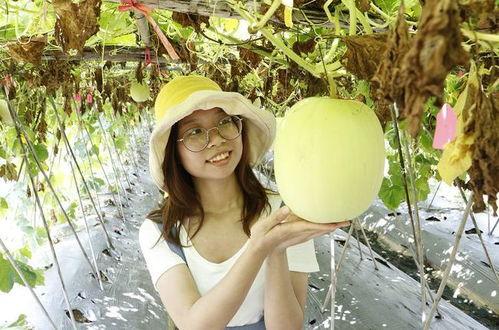 佛山小伙吃瓜视频,揭秘街头美食背后的故事