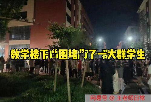 离谱吃瓜故事视频大全集,视频大全集深度解析