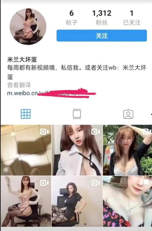 宁海直播吃瓜事件视频,一场网络争议的发酵与反思