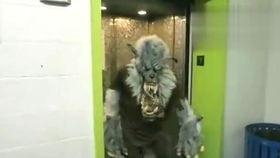 带你吃瓜搞笑视频滑梯版,欢乐无限，笑料横生！