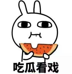 潮汕话吃瓜视频,趣味横生的方言文化盛宴