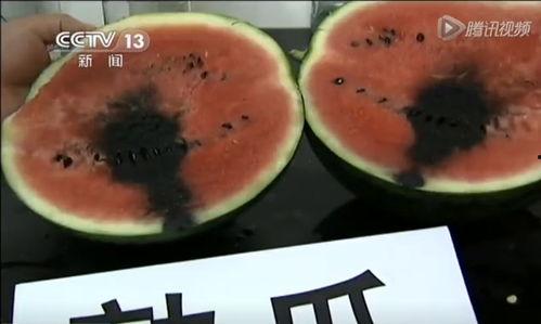 西瓜视频吃瓜123,揭秘吃瓜123背后的故事