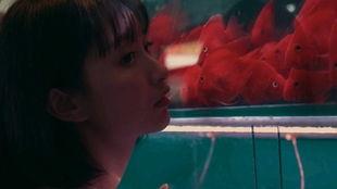 吃瓜女孩子视频播放,吃瓜女孩视频播放背后的热门现象解析