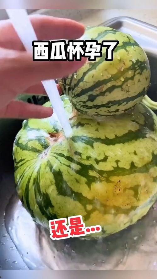 广东吃瓜搞笑视频大全