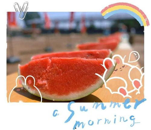 琉璃吃瓜现场视频大全,精彩瞬间大盘点