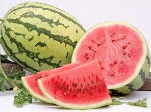 吃硒砂瓜的视频播放大全,视频播放大全带你领略美味瞬间