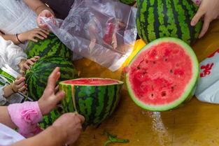 四川吃瓜最新视频大全集,最新视频大全集精彩回顾