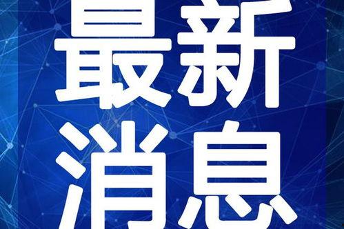 东营吃瓜新闻视频大全最新,盘点那些令人捧腹的瞬间