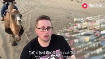 大叔吃瓜视频大全,揭秘娱乐圈幕后故事