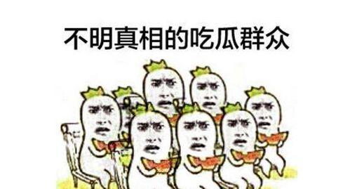 采访六个吃瓜群众视频