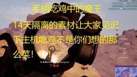 吃鸡呆瓜小视频