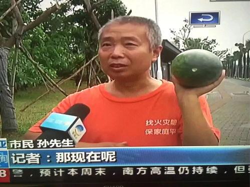 厦门吃瓜热点事件视频,视频揭秘背后的惊人真相