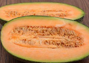 兔子可以吃哈密瓜丝吗视频