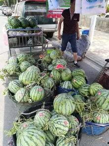 潮州黄冈吃瓜事件视频,一场网络热议背后的真相揭秘