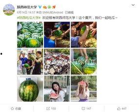 蹦迪吃瓜视频素材,揭秘夜店生活点滴