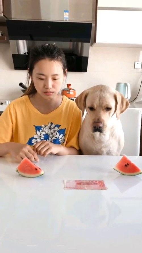 最近网上很火的吃瓜视频,一场全民参与的“瓜界盛宴”