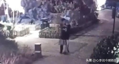 真吃瓜视频完整版,揭秘娱乐圈幕后真相，带你领略明星真实生活