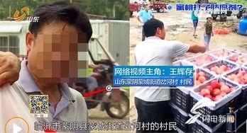 蒙阴吃瓜事件视频播放,一场网络热议的真相揭秘