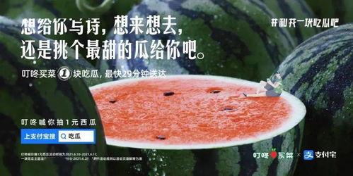 吃瓜文案视频,揭秘吃瓜文案背后的趣味与智慧