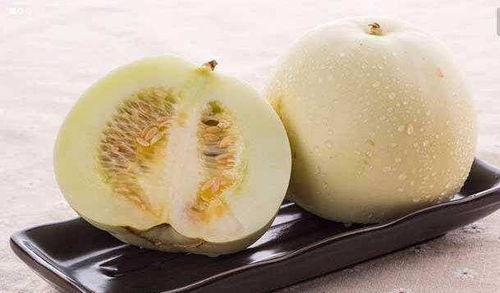 美女吃白兰瓜视频