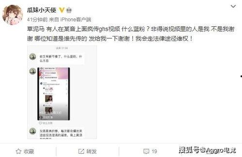 厦门吃瓜群主是谁呀视频,视频背后的神秘人物