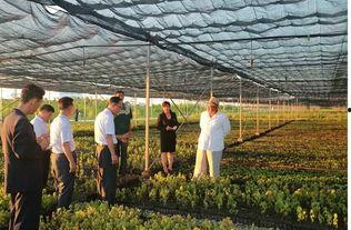 考察苗圃吃瓜视频