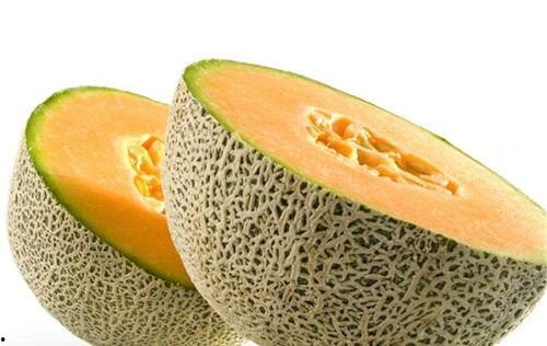 小白鼠吃哈密瓜会死吗视频,小白鼠实验揭示惊人真相