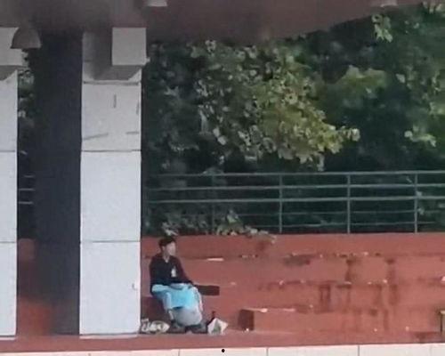 大树下吃瓜视频