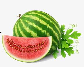 吃瓜素材视频大全下载免费