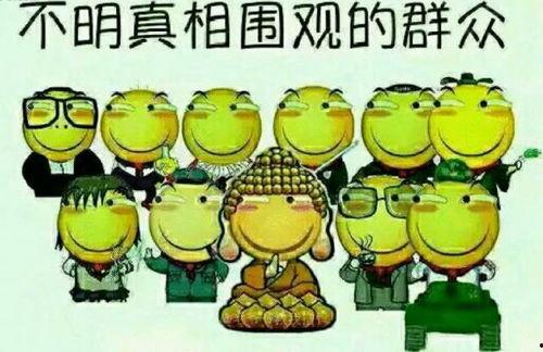 吃瓜群众受苦了视频下载,揭秘幕后辛酸与网络狂欢背后的真相