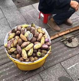 益阳吃瓜事件视频