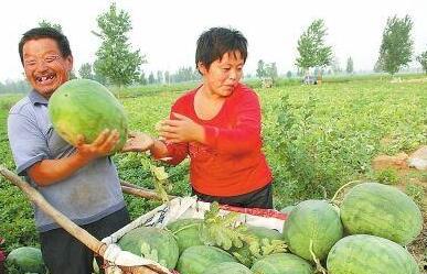 濉溪县吃瓜视频,揭秘当地特色美食与风土人情
