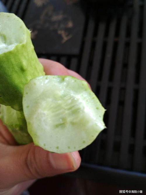 白玉瓜的花可以吃吗视频,视频带你探索美味奥秘